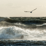 _DSC0014-Bearbeitet sRGB